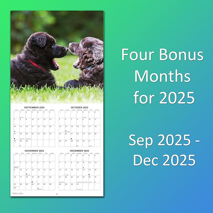 2026 German Shepherds Monthly Wall Calendar | Dog Calendar September 2025 - December 2026