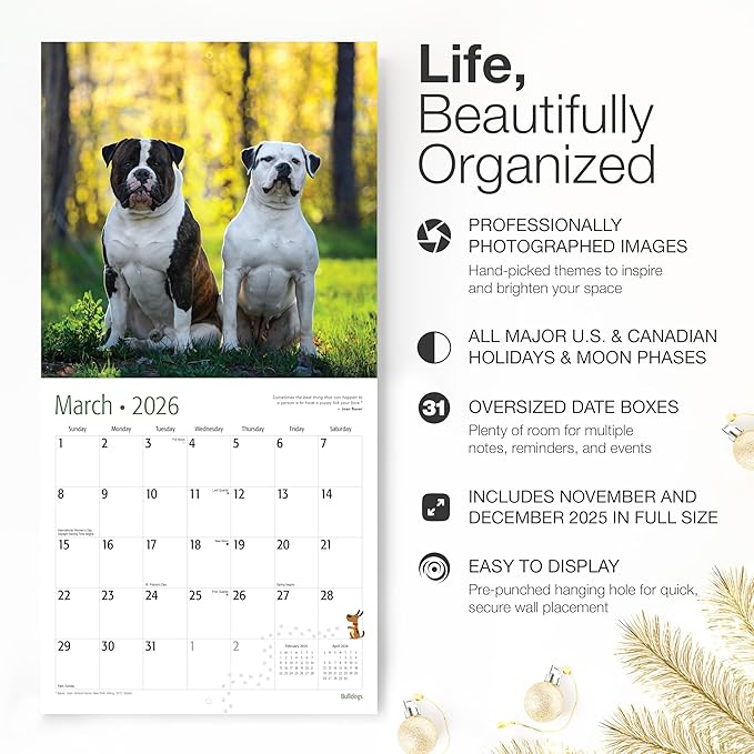 RED EMBER English and American Bulldogs 2026 Wall Calendar 12 Month | 12" x 24" Open | Thick & Sturdy Paper | Holiday Gift | Cute Puppy Dog Calendar 2026
