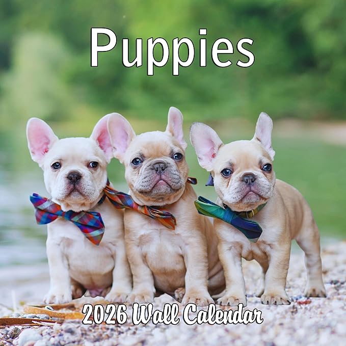 2026 Puppies Monthly Wall Calendar | Cute Dogs Calendar September 2025 - December 2026
