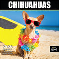 MICASA PRESS Chihuahuas 2026 Wall Calendar 12 Month | 12" x 24" Open | Thick & Sturdy Paper | Holiday Gift | Cute Puppy Dog Calendar 2026