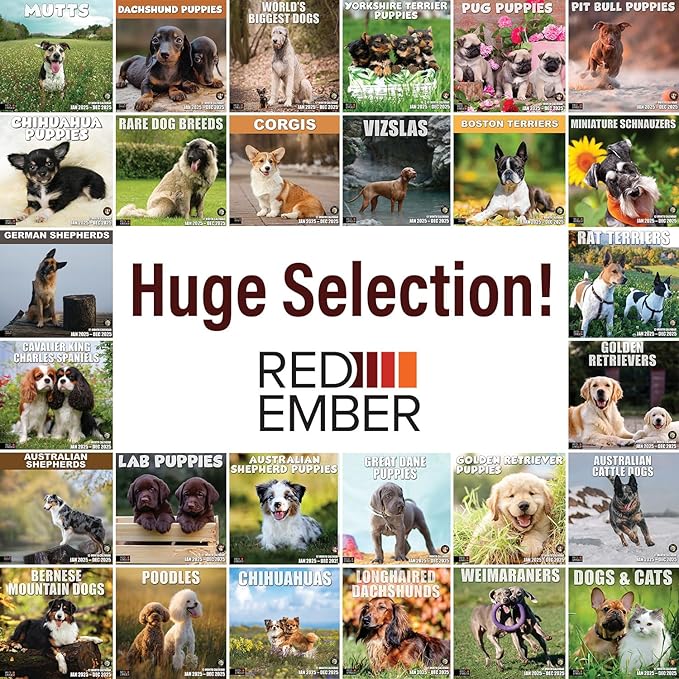 RED EMBER Vizslas 2025 Wall Calendar 12 Month | 12" x 24" Open | Thick & Sturdy Paper | Giftable | Calendar 2025
