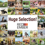 RED EMBER Vizslas 2025 Wall Calendar 12 Month | 12" x 24" Open | Thick & Sturdy Paper | Giftable | Calendar 2025