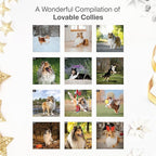 RED EMBER Collies 2026 Wall Calendar 12 Month | 12" x 24" Open | Thick & Sturdy Paper | Holiday Gift | Cute Puppy Dog Calendar 2026