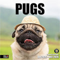 RED EMBER Pugs 2026 Wall Calendar 12 Month | 12" x 24" Open | Thick & Sturdy Paper | Holiday Gift | Cute Puppy Dog Calendar 2026