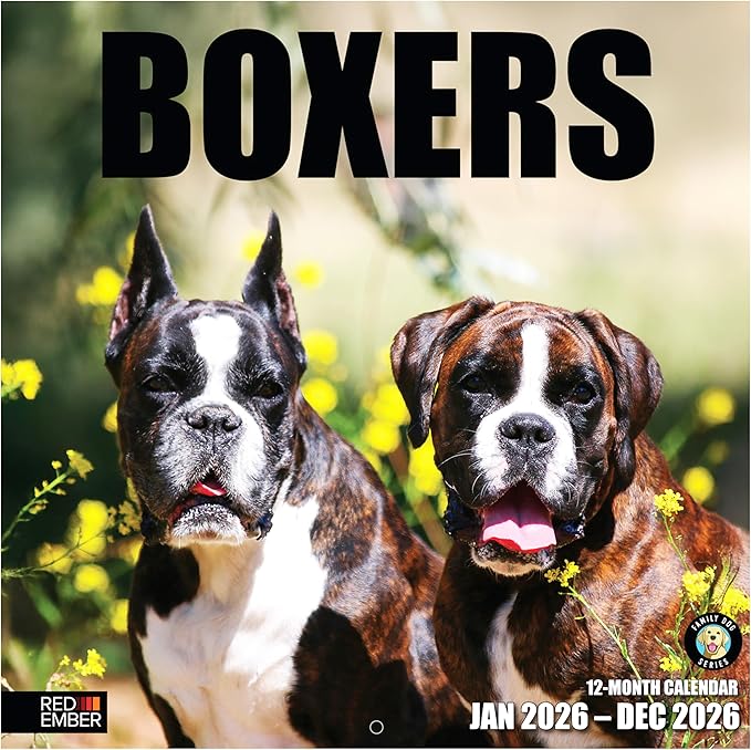 RED EMBER Boxers 2026 Wall Calendar 12 Month | 12" x 24" Open | Thick & Sturdy Paper | Holiday Gift | Cute Puppy Dog Calendar 2026