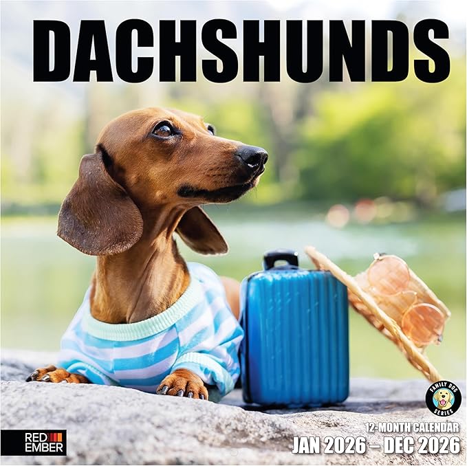 RED EMBER Dachshunds 2026 Wall Calendar 12 Month | 12" x 24" Open | Thick & Sturdy Paper | Holiday Gift | Cute Puppy Weiner Dog Calendar 2026