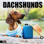 RED EMBER Dachshunds 2026 Wall Calendar 12 Month | 12" x 24" Open | Thick & Sturdy Paper | Holiday Gift | Cute Puppy Weiner Dog Calendar 2026
