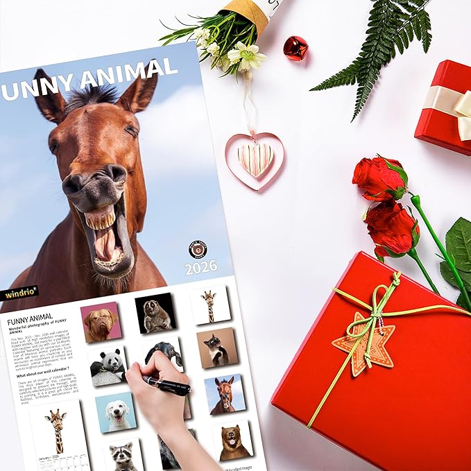 2026 Wall Calendar,Funny Calendar 2026, November 2025 - December 2026, Wall Calendar Funny Animal Memes, 12" x 24" Opened, Full Page 12 Months Thick Paper for Gift Calendar Organizing Planning