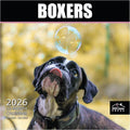 MICASA PRESS Boxers 2026 Wall Calendar 12 Month | 12" x 24" Open | Thick & Sturdy Paper | Holiday Gift | Cute Puppy Dog Calendar 2026