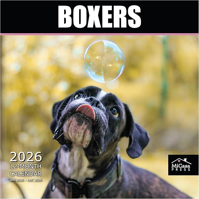 MICASA PRESS Boxers 2026 Wall Calendar 12 Month | 12" x 24" Open | Thick & Sturdy Paper | Holiday Gift | Cute Puppy Dog Calendar 2026