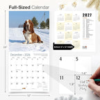 RED EMBER Basset Hounds 2026 Wall Calendar 12 Month | 12" x 24" Open | Thick & Sturdy Paper | Holiday Gift | Cute Puppy Dog Calendar 2026