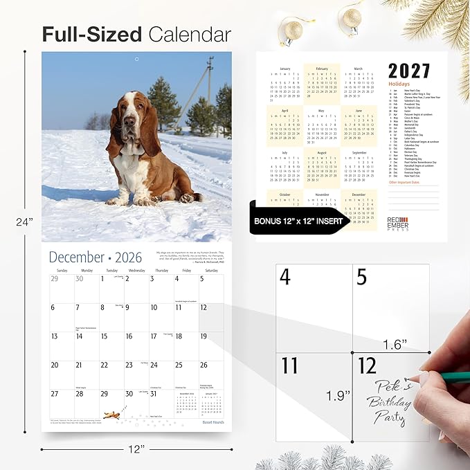 RED EMBER Basset Hounds 2026 Wall Calendar 12 Month | 12" x 24" Open | Thick & Sturdy Paper | Holiday Gift | Cute Puppy Dog Calendar 2026