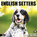 RED EMBER English Setters 2026 Wall Calendar 12 Month | 12" x 24" Open | Thick & Sturdy Paper | Holiday Gift | Cute Puppy Dog Calendar 2026