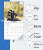 2026 Silly Dogs Monthly Wall Calendar | Funny Dogs Calendar September 2025 - December 2026