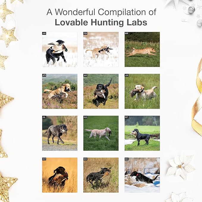 RED EMBER Hunting Labs 2026 Wall Calendar 12 Month | 12" x 24" Open | Thick & Sturdy Paper | Holiday Gift | Sport Labrador Retriever Puppy Dog Calendar 2026