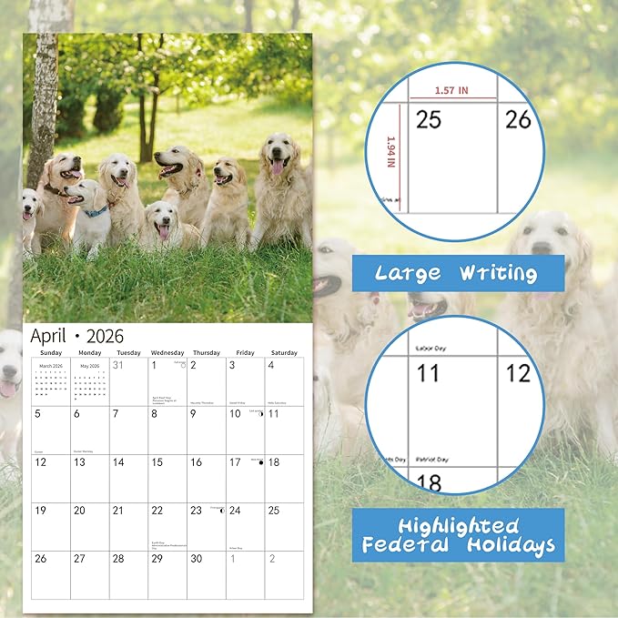 2026 Wall Calendar,Calendar 2026, November 2025 - December 2026, Wall Calendar Golden Retrievers, 12" x 24" Opened,Full Page Months Thick & Sturdy Paper for Calendar Organizing & Planning