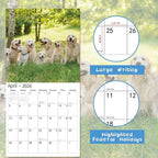 2026 Wall Calendar,Calendar 2026, November 2025 - December 2026, Wall Calendar Golden Retrievers, 12" x 24" Opened,Full Page Months Thick & Sturdy Paper for Calendar Organizing & Planning