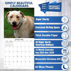 2026 Smiling Dogs Monthly Wall Calendar | Funny Happy Dogs Calendar September 2025 - December 2026