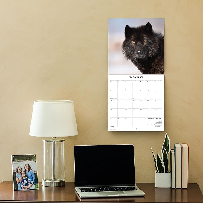 2026 Wolves of the Wild Monthly Wall Calendar | Wild Animals Calendar 2025-2026