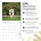 RED EMBER Dachshunds 2026 Wall Calendar 12 Month | 12" x 24" Open | Thick & Sturdy Paper | Holiday Gift | Cute Puppy Weiner Dog Calendar 2026