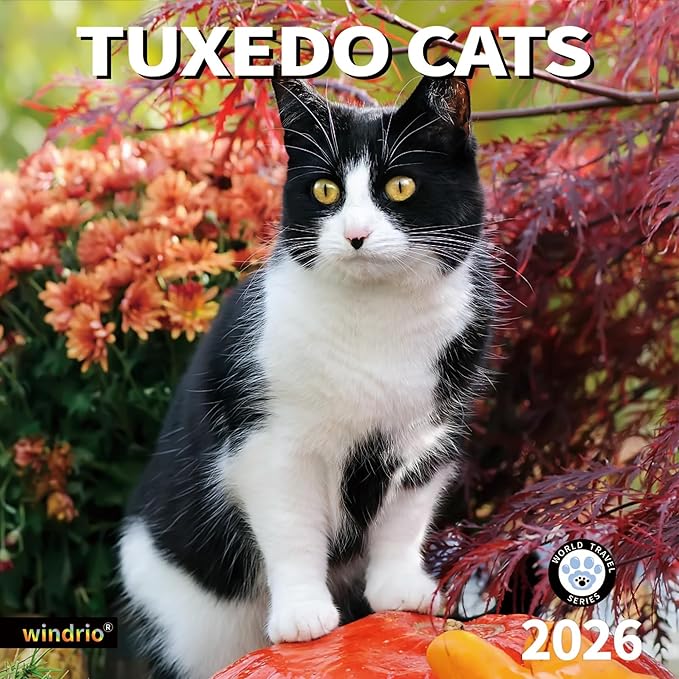 2026 Wall Calendar,Calendar 2026, November 2025 - December 2026, Wall Calendar Tuxedo Cats, 12" x 24" Opened,Full Page Months Thick & Sturdy Paper for Calendar Organizing & Planning