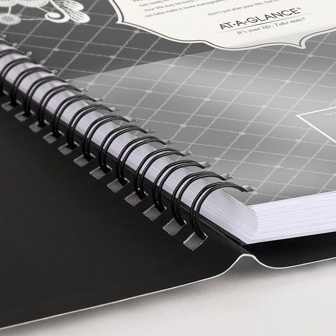 AT-A-GLANCE 2026 Appointment Book Planner, Weekly & Monthly, 8.5" x 11", Large, Hourly, Lacey (541-905-26)