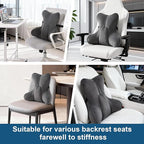 Ailuteie Lumbar Support Pillow(Pat. Pend) – Ergonomic Multi-Zone Back Cushion for Lower Back Pain Relief, Ideal for Office Chair, Car Seat & Home Reading,Steel Gray