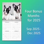2026 French Bulldogs Monthly Wall Calendar | Cute Dog Calendar 2025-2026