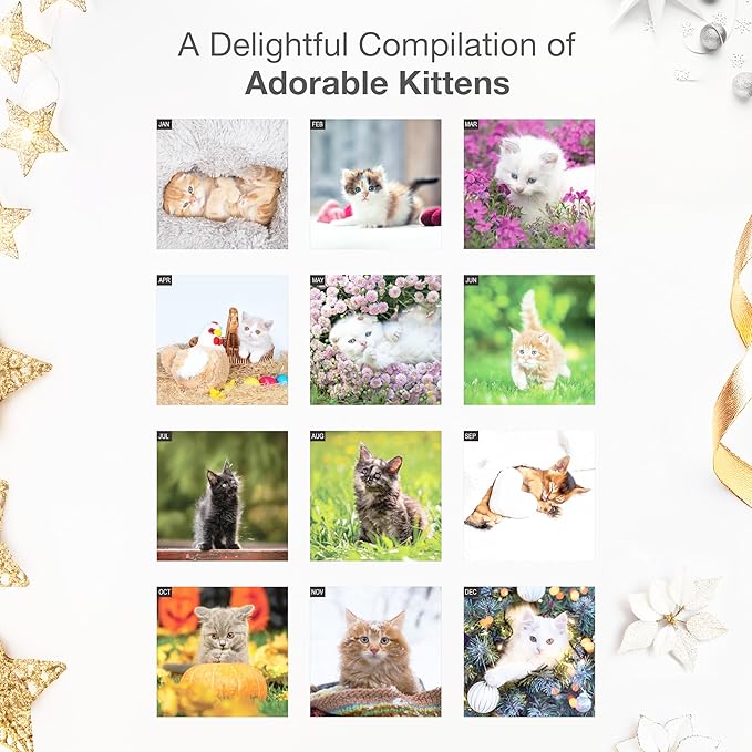 RED EMBER Cuddly Kittens 2026 Wall Calendar 12 Month | 12" x 24" Open | Thick & Sturdy Paper | Holiday Gift | Cute Kitten Cat Calendar 2026