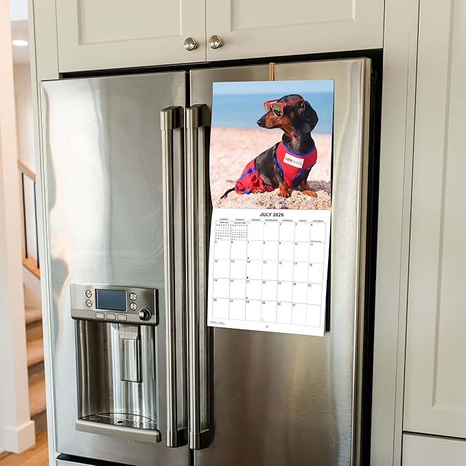 2026 Dachshunds at Work Weiner Dog Monthly Wall Calendar | Funny Wiener Dog Calendar September 2025 - December 2026