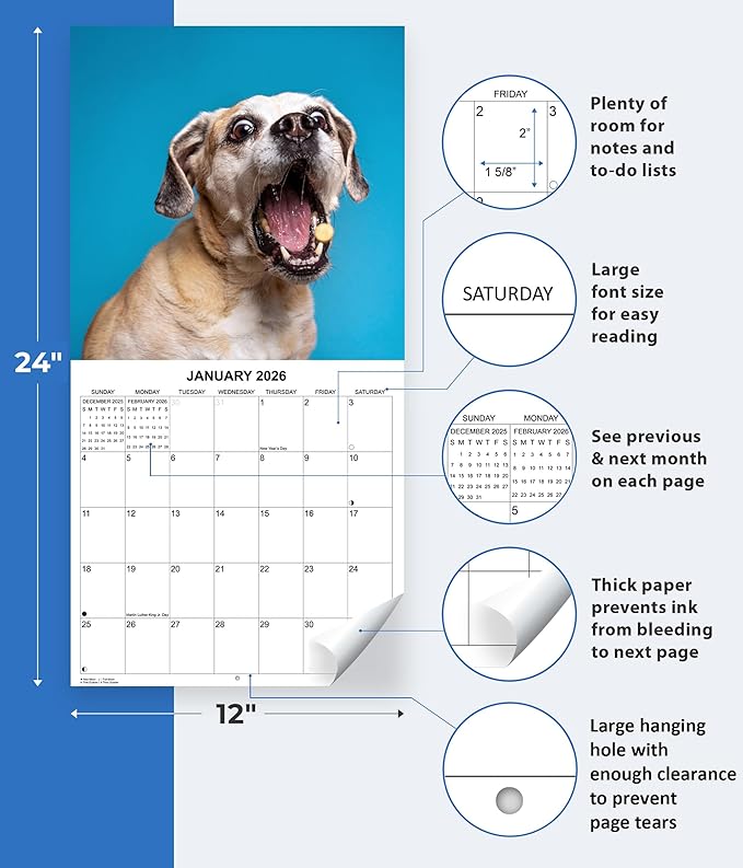2026 Treat Time Monthly Wall Calendar | Funny Dogs Calendar September 2025 - December 2026