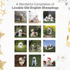RED EMBER Old English Sheepdogs 2026 Wall Calendar 12 Month | 12" x 24" Open | Thick & Sturdy Paper | Holiday Gift | Cute Puppy Dog Calendar 2026