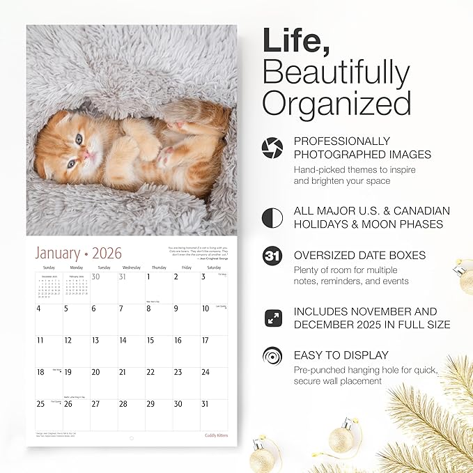 RED EMBER Cuddly Kittens 2026 Wall Calendar 12 Month | 12" x 24" Open | Thick & Sturdy Paper | Holiday Gift | Cute Kitten Cat Calendar 2026