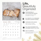RED EMBER Cuddly Kittens 2026 Wall Calendar 12 Month | 12" x 24" Open | Thick & Sturdy Paper | Holiday Gift | Cute Kitten Cat Calendar 2026