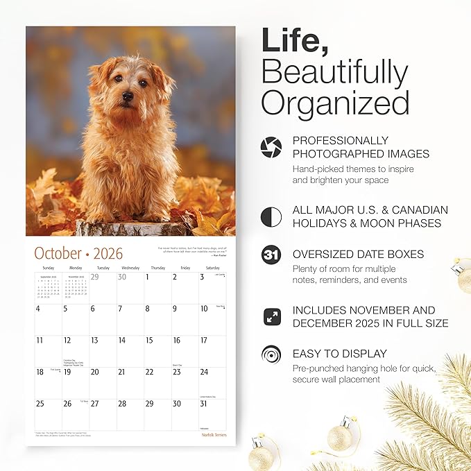 RED EMBER Norfolk Terriers 2026 Wall Calendar 12 Month | 12" x 24" Open | Thick & Sturdy Paper | Holiday Gift | Cute Puppy Dog Calendar 2026