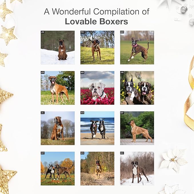 RED EMBER Boxers 2026 Wall Calendar 12 Month | 12" x 24" Open | Thick & Sturdy Paper | Holiday Gift | Cute Puppy Dog Calendar 2026