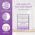 DALTACK 9-Tier Paper Letter Tray Desk Organizer with Handles, Mesh File Holder Organization, Paper Sorter Desk Organizer for Office Home School, Purple 2 Pack