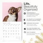 RED EMBER Goofy Dogs 2026 Wall Calendar 12 Month | 12" x 24" Open | Thick & Sturdy Paper | Holiday Gift | Kids Pooches Funny Puppy Dog Calendar 2026