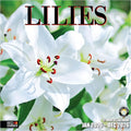 RED EMBER Lilies 2026 Wall Calendar 12 Month | 12" x 24" Open | Thick & Sturdy Paper | Holiday Gift | Flower Nature Calendar 2026