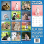 2026 Bunnies Monthly Wall Calendar | Cute Rabbit Animals Calendar 2025-2026