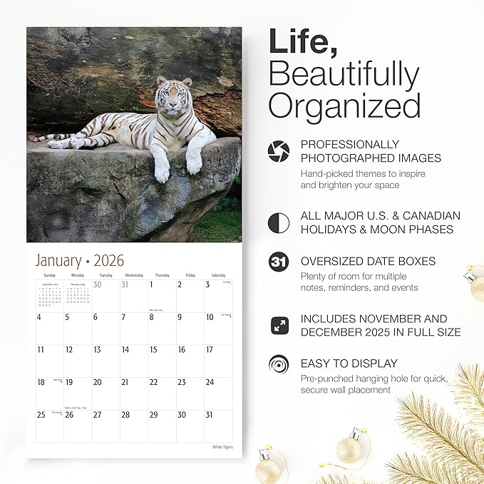 RED EMBER White Tigers 2026 Wall Calendar 12 Month | 12" x 24" Open | Thick & Sturdy Paper | Holiday Gift | Big Cats Animal Calendar 2026
