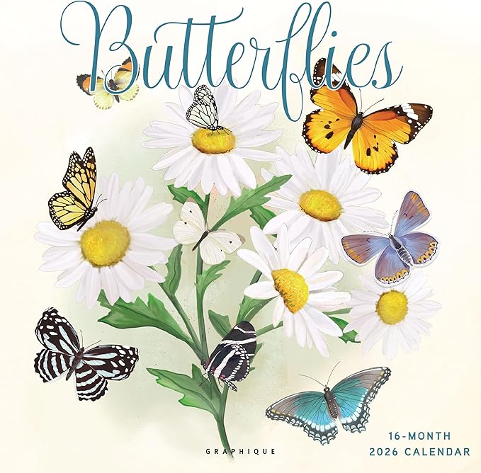 Graphique 2026 Butterflies Wall Calendar | 12” x 12” | Thick Paper | Home & Office Organizer | Large Monthly Grid | 3 Languages & Marked Holidays | 4 Month Preview Page for 2027