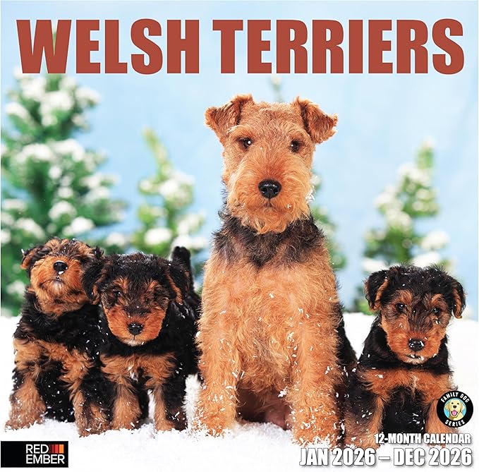 RED EMBER Welsh Terriers 2026 Wall Calendar 12 Month | 12" x 24" Open | Thick & Sturdy Paper | Holiday Gift | Cute Puppy Dog Calendar 2026