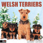 RED EMBER Welsh Terriers 2026 Wall Calendar 12 Month | 12" x 24" Open | Thick & Sturdy Paper | Holiday Gift | Cute Puppy Dog Calendar 2026