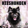 RED EMBER Keeshonden 2026 Wall Calendar 12 Month | 12" x 24" Open | Thick & Sturdy Paper | Holiday Gift | Cute Puppy Dog Calendar 2026