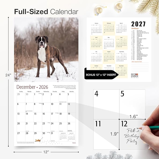 RED EMBER Boxers 2026 Wall Calendar 12 Month | 12" x 24" Open | Thick & Sturdy Paper | Holiday Gift | Cute Puppy Dog Calendar 2026