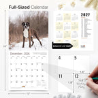 RED EMBER Boxers 2026 Wall Calendar 12 Month | 12" x 24" Open | Thick & Sturdy Paper | Holiday Gift | Cute Puppy Dog Calendar 2026