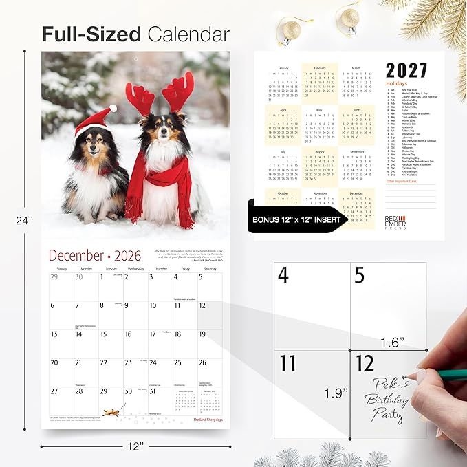 RED EMBER Shetland Sheepdogs 2026 Wall Calendar 12 Month | 12" x 24" Open | Thick & Sturdy Paper | Holiday Gift | Cute Sheltie Puppy Dog Calendar 2026