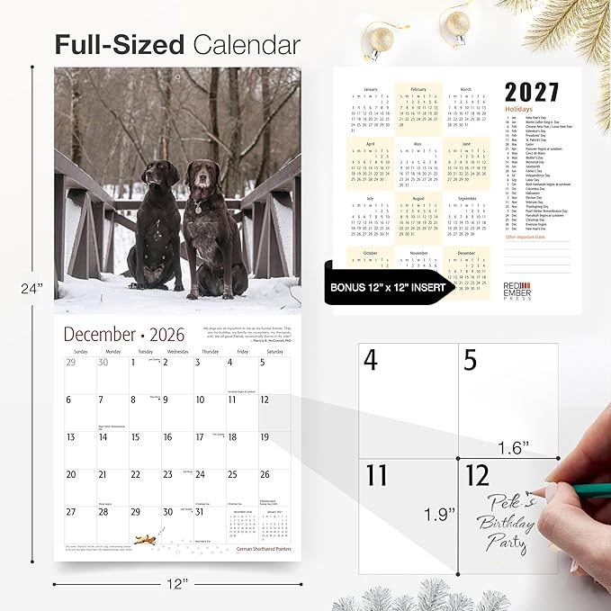 RED EMBER German Shorthaired Pointers 2026 Wall Calendar 12 Month | 12" x 24" Open | Thick & Sturdy Paper | Holiday Gift | Cute GSP Puppy Dog Calendar 2026