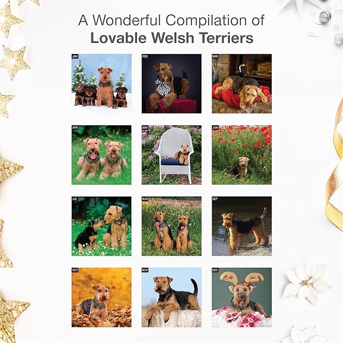 RED EMBER Welsh Terriers 2026 Wall Calendar 12 Month | 12" x 24" Open | Thick & Sturdy Paper | Holiday Gift | Cute Puppy Dog Calendar 2026